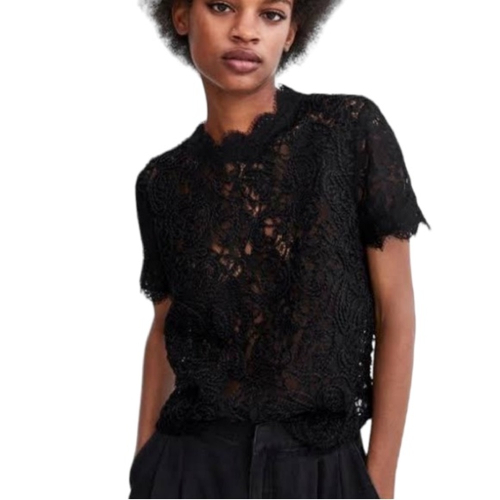 Elegant Black Lace Women's Blouse
